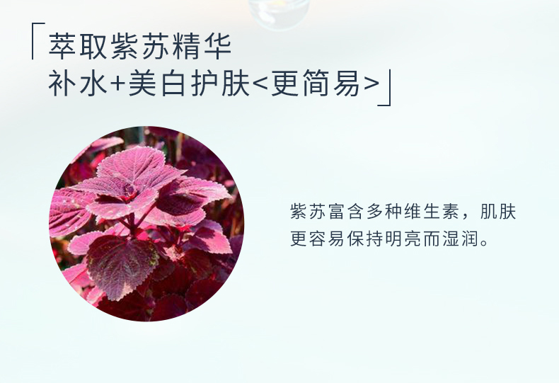 蒙度士 男士美白二合一精华液