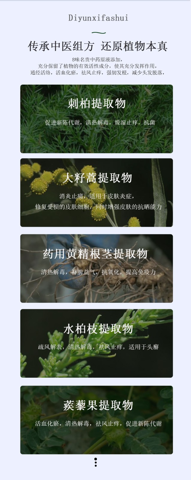 蒂雲植物防脱防断发洗发露